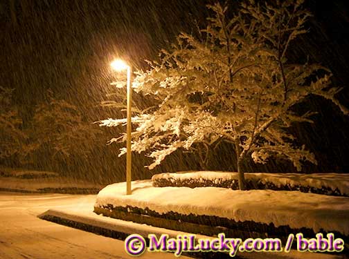 H26.12.06本格的な降雪