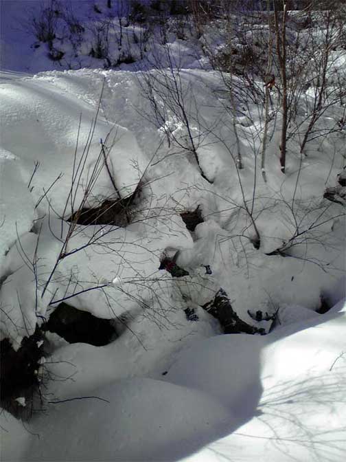 かくれんぼ・遭難とも